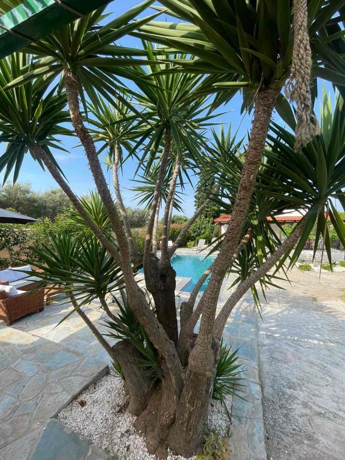 Vila Kalimera Private Pool ネア・ポティダイア エクステリア 写真